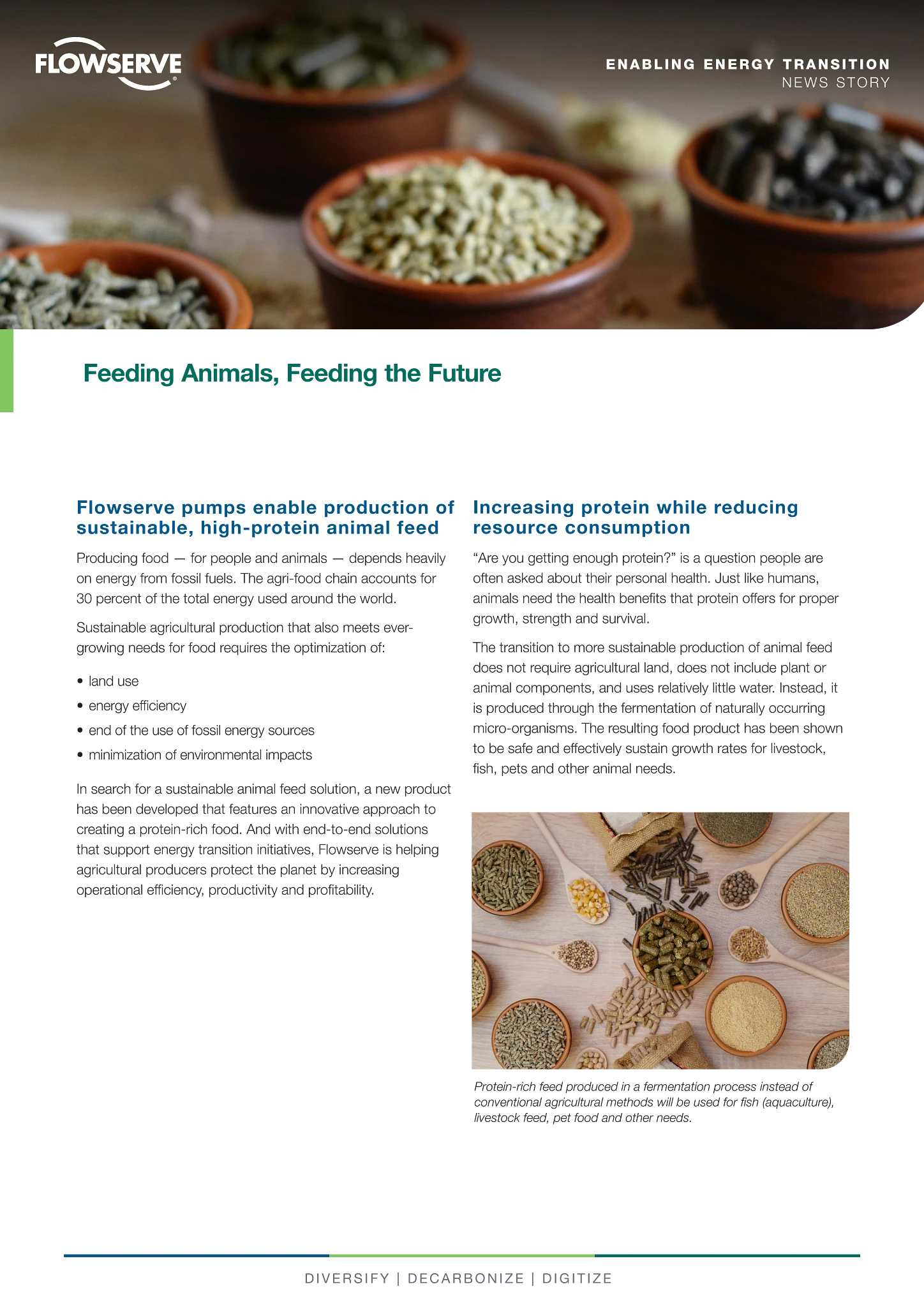 饲养动物,馈赠未来 - 能源转型新闻故事