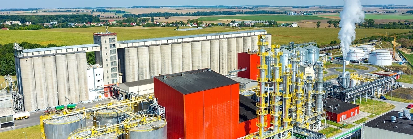 全球棕榈油产业格局